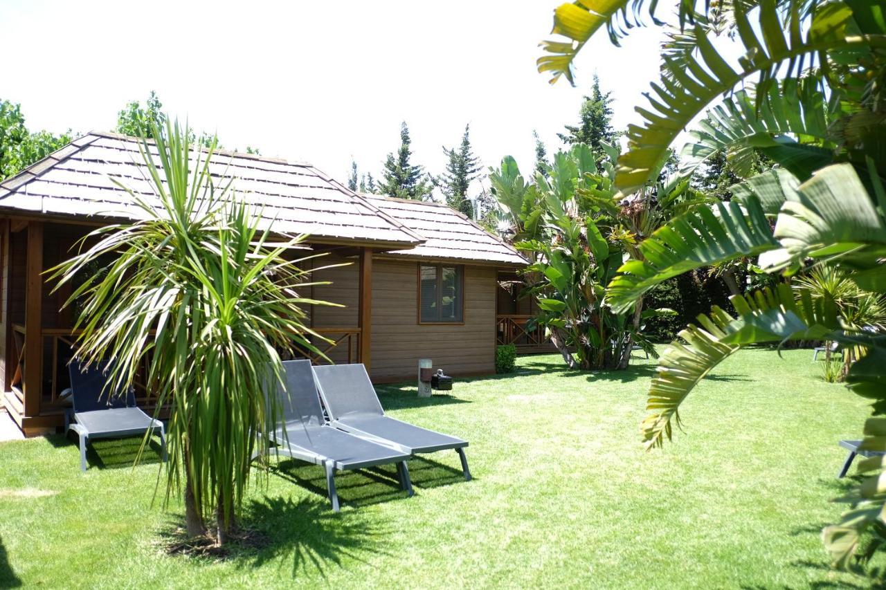 Playa Montroig Camping Resort Eksteriør bilde